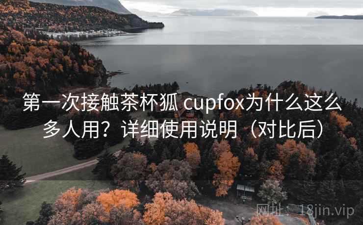 第一次接触茶杯狐 cupfox为什么这么多人用？详细使用说明（对比后）