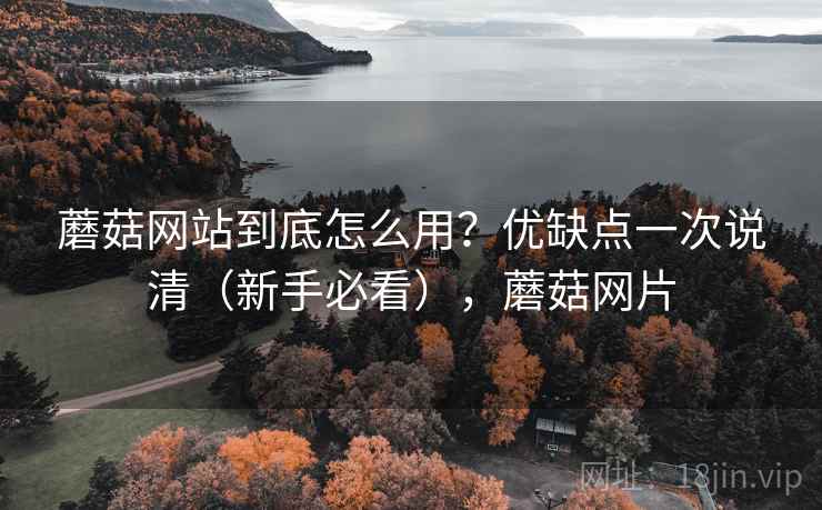蘑菇网站到底怎么用？优缺点一次说清（新手必看），蘑菇网片