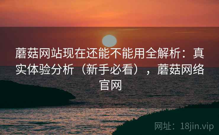 蘑菇网站现在还能不能用全解析：真实体验分析（新手必看），蘑菇网络官网
